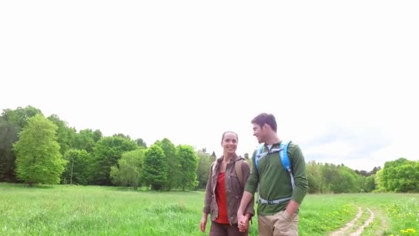 Happy couple with backpacks walk on country road 4 — Stock Video