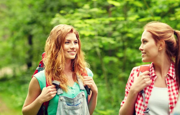 Grupo de amigos sonrientes con mochilas senderismo — Foto de Stock