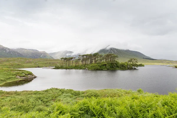 Vista a la isla en lago o río en Irlanda —  Fotos de Stock