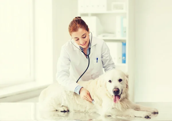 Mulher feliz com cão e médico na clínica veterinária Fotografias De Stock Royalty-Free