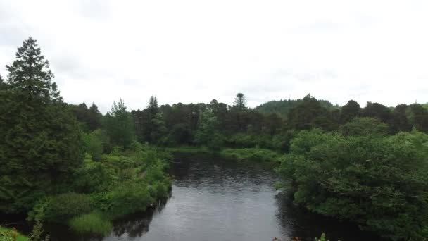 Vista sul fiume nella valle dell'Irlanda 3 — Video Stock