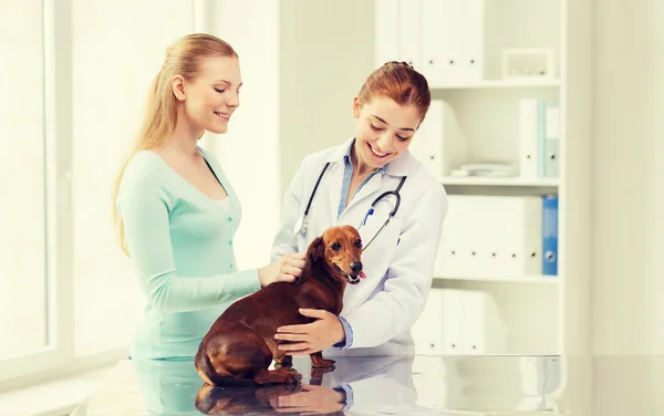 Mulher feliz com cão e médico na clínica veterinária — Fotografia de Stock