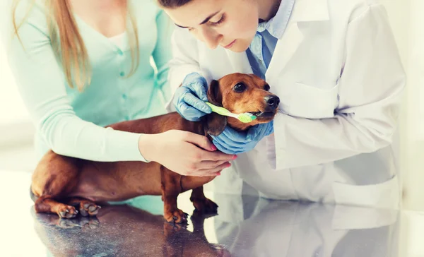 Woman with dog and doctor at vet clinic — 스톡 사진