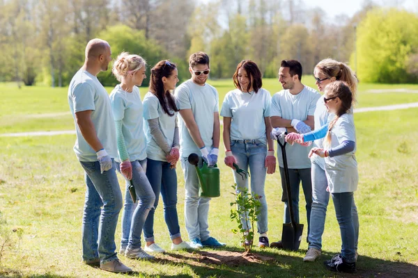 Skupina dobrovolníků sázejících strom v parku — Stock fotografie