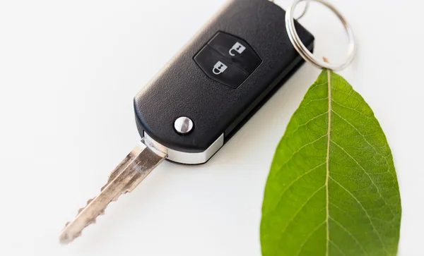 Primer plano de la llave del coche y la hoja verde — Foto de Stock