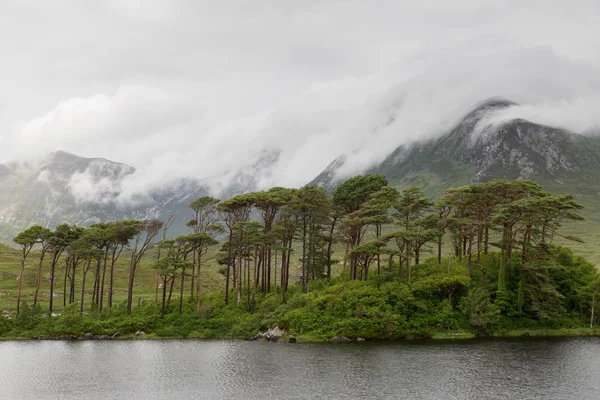 Vista a la isla en lago o río en Irlanda —  Fotos de Stock