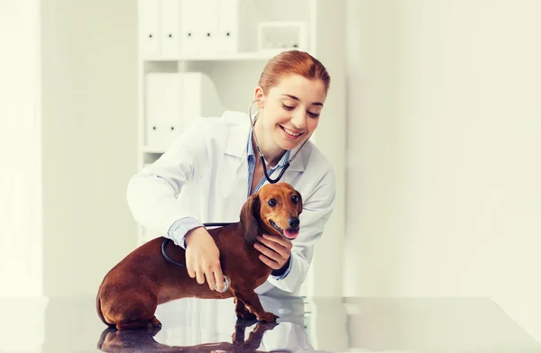 Médico com estetoscópio e cão na clínica veterinária — Fotografia de Stock