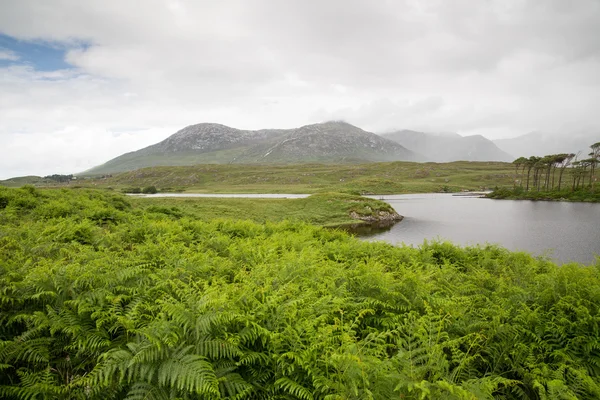 Vue sur l'île dans le lac ou la rivière à ireland — Photo