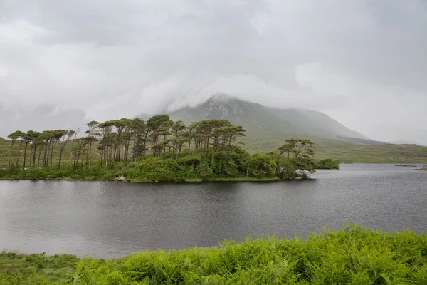 Vista a la isla en lago o río en Irlanda —  Fotos de Stock