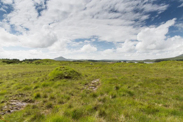 Düz ve İrlanda connemara gölde görüntülemek — Stok fotoğraf