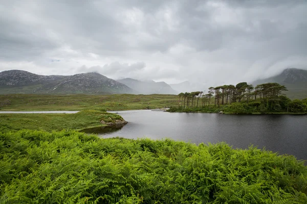 Pohled do ostrov v jezero nebo řeka v Irsku — Stock fotografie