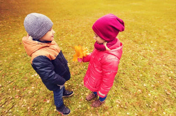 小男孩给女孩的秋天的枫叶 — 图库照片