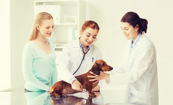 Mulher feliz com cão e médico na clínica veterinária — Fotografia de Stock