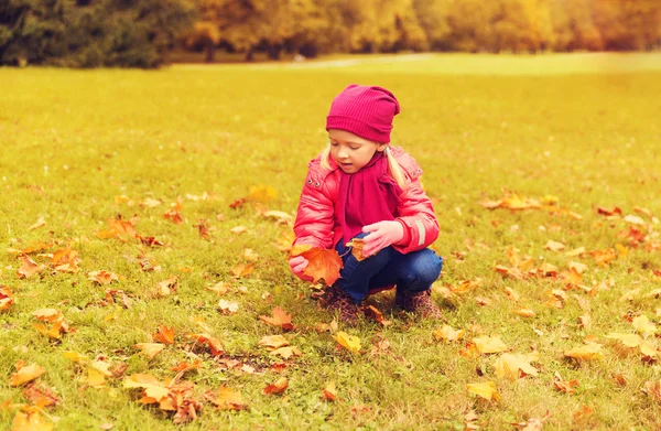 Happy little girl colecting autumn maple leaves — Stockfoto