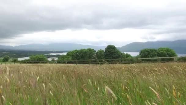 Vista al lago y las tierras de labranza en connemara en Irlanda 54 — Vídeo de stock