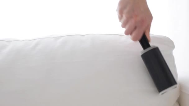 Woman with sticky roller cleaning sofa upholstery — Stock Video