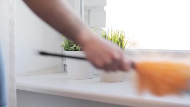 Mujer con limpiador de plumas alféizar ventana en casa — Vídeo de stock