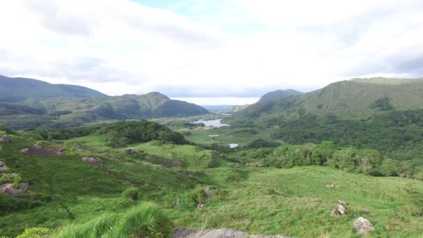 Az írországi Killarney Nemzeti Park völgy-folyó — Stock videók