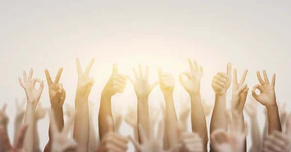 Human hands showing thumbs up, ok and peace signs — Stock Photo, Image