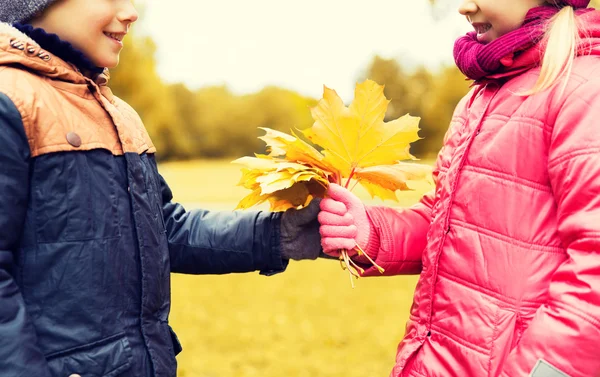 Mały chłopiec dając autumn klonowe listowie dziewczyna — Zdjęcie stockowe