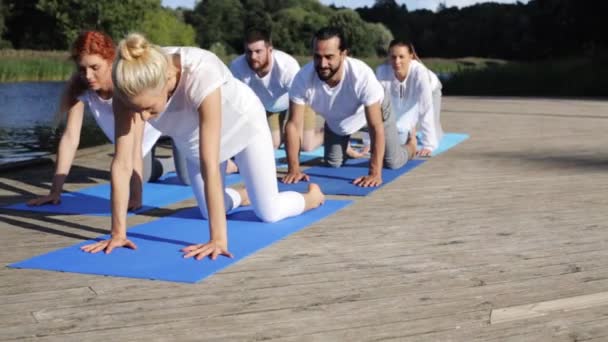 Grupa osób wykonujących ćwiczenia jogi na świeżym powietrzu — Wideo stockowe
