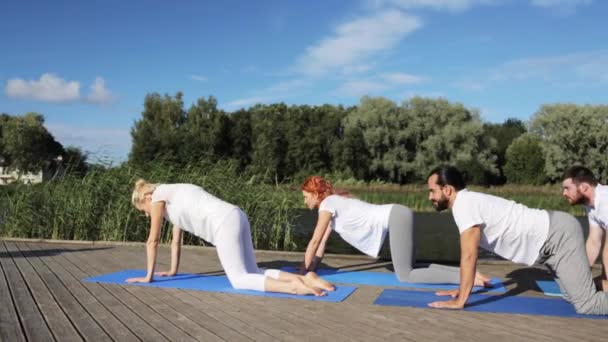 Skupina lidí, kteří cvičí jógu venku — Stock video