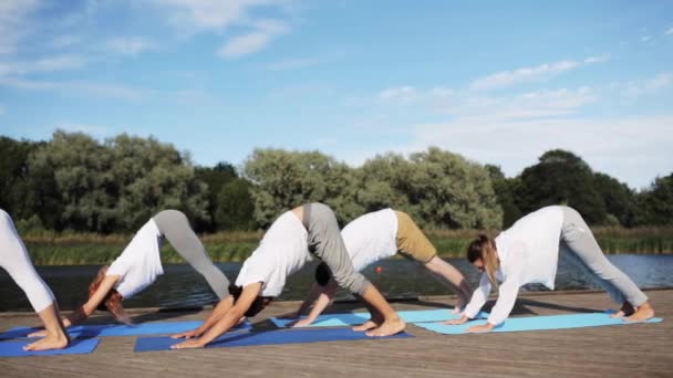 Gruppe von Menschen, die Yoga-Übungen im Freien machen — Stockvideo