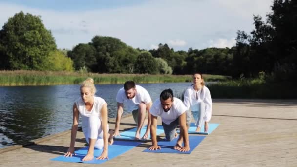 Group of people making yoga exercises outdoors — Stock Video