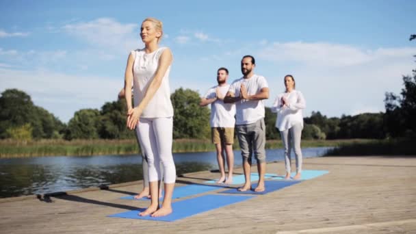 Groep mensen die buiten yoga oefeningen doen — Stockvideo