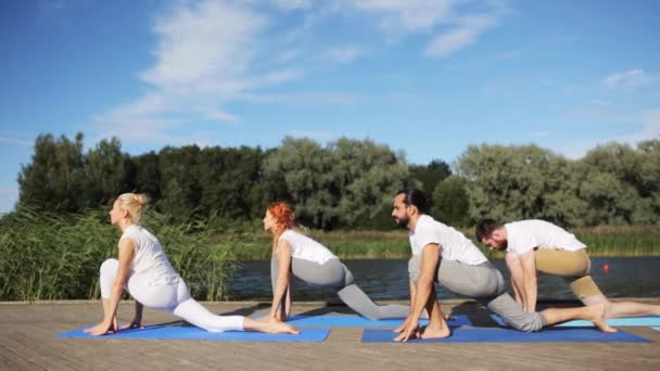 Yoga egzersizleri yapan bir grup insan. — Stok video