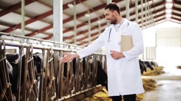 Veterinário com vacas em galpão na fazenda leiteira — Vídeo de Stock