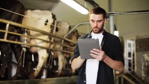 Mladý muž s tabletami pc a krávy na mléčné farmě — Stock video