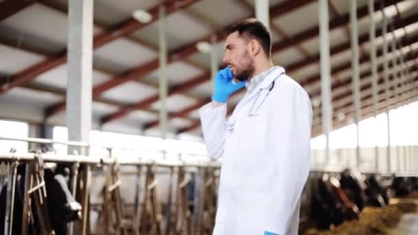 Médico veterinário chamando celular e vacas na fazenda — Vídeo de Stock