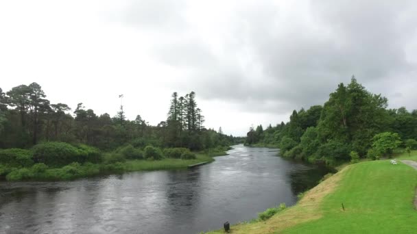 Pohled do řeky v Irsku údolí 8 — Stock video