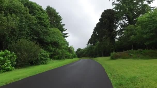 Droga asfaltowa w connemara w Irlandii 14 — Wideo stockowe