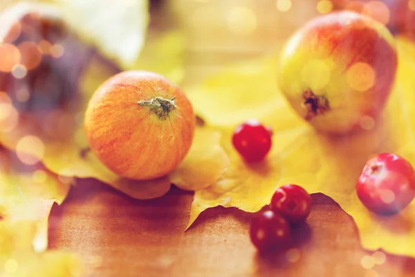 Close-up van de herfst bladeren, fruit en bessen — Stockfoto