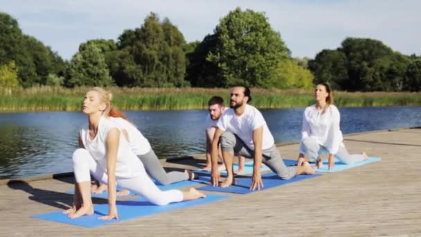 Groep mensen die buiten yoga oefeningen doen — Stockvideo