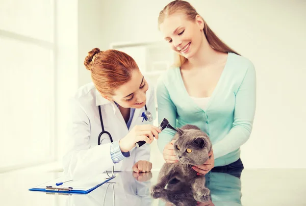 Happy woman with cat and doctor at vet clinic — Stock Photo, Image