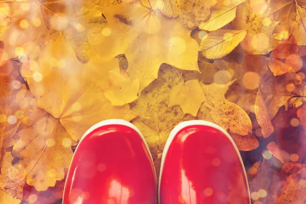 Primo piano di stivali di gomma rossa su foglie di autunno — Foto Stock