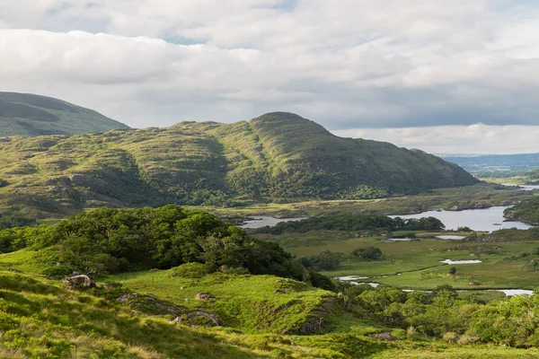 Killarney Milli Parkı Vadisi İrlanda nehirde — Stok fotoğraf