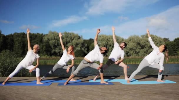 Gruppe von Menschen, die Yoga-Übungen im Freien machen — Stockvideo