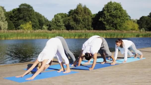 Grupp människor som gör yogaövningar utomhus — Stockvideo