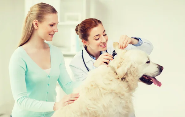 강아지와 수 의사 병원에서 의사와 함께 행복 한 여자 — 스톡 사진