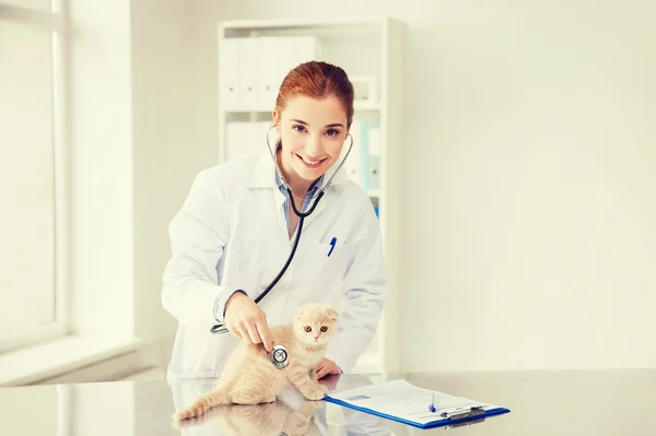 Happy veterinarian with kitten at vet clinic — Stock Photo, Image