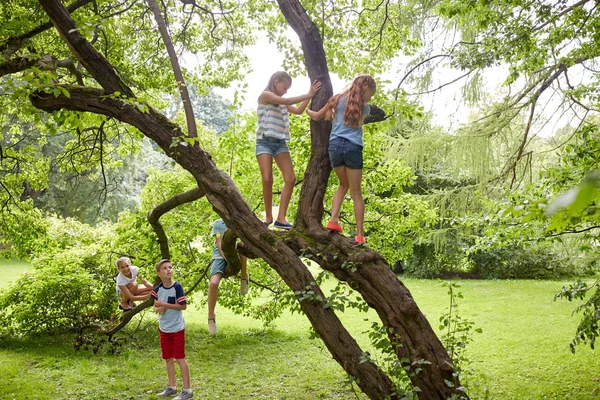 Щасливі діти сходження на дерево в літньому парку — стокове фото