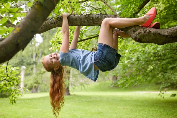 Щаслива маленька дівчинка висить на дереві в літньому парку — стокове фото