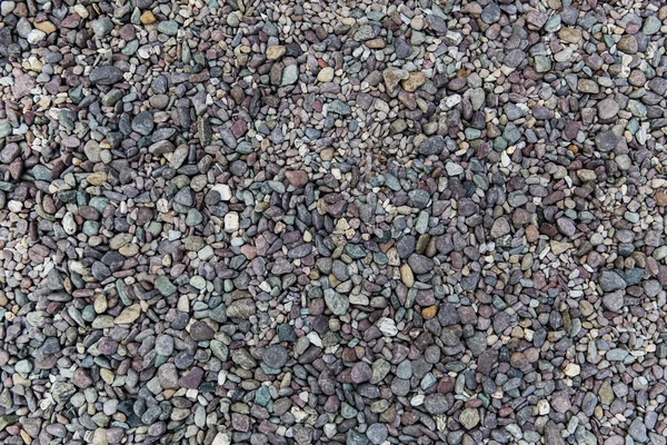 Close up de pedras de seixos de praia — Fotografia de Stock