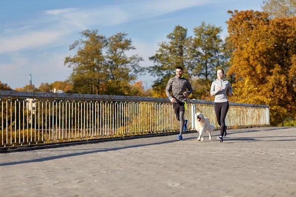 Lyckliga par med hund kör utomhus — Stockfoto