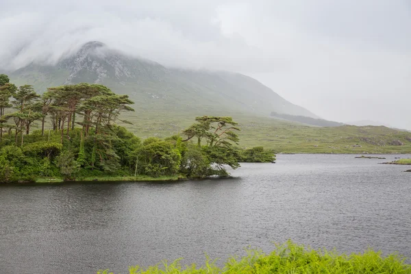 查看到湖泊或河流在爱尔兰岛 — 图库照片