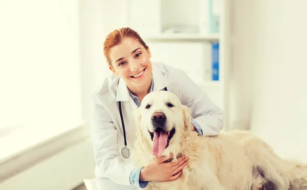 Ευτυχισμένος γιατρός με retriever σκύλου στο ΚΤΗΝΙΑΤΡΙΚΗ ΚΛΙΝΙΚΗ — Φωτογραφία Αρχείου